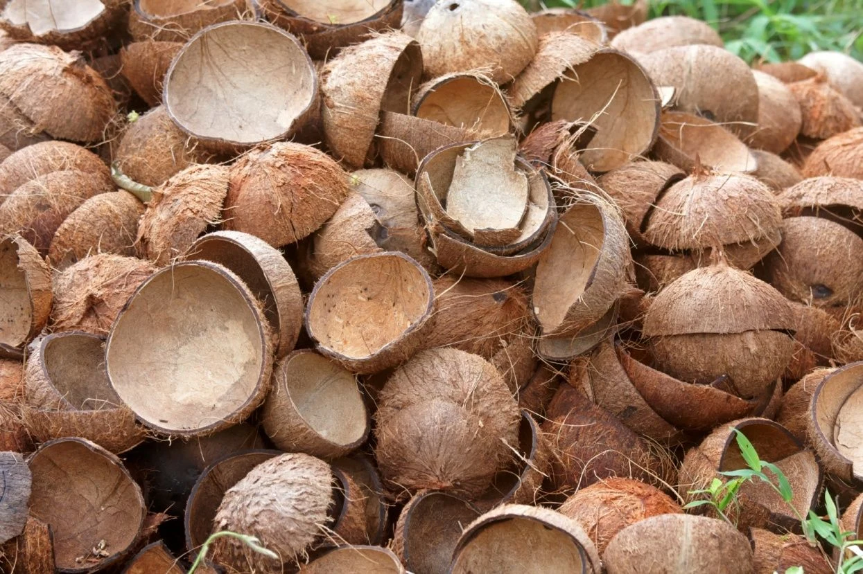 Pemilihan Bahan Baku