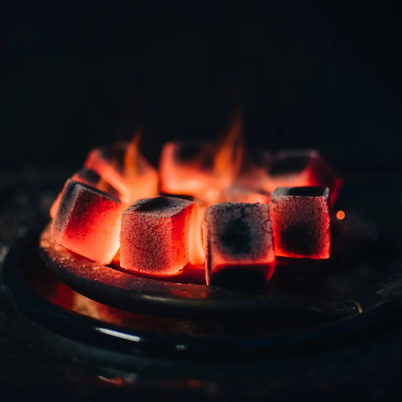 Quality inspection of coconut charcoal briquettes